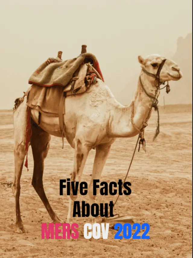 5 facts about the MERS COV 2022