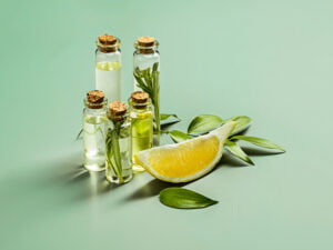 teatree essential oil and carrotseed carrier oil