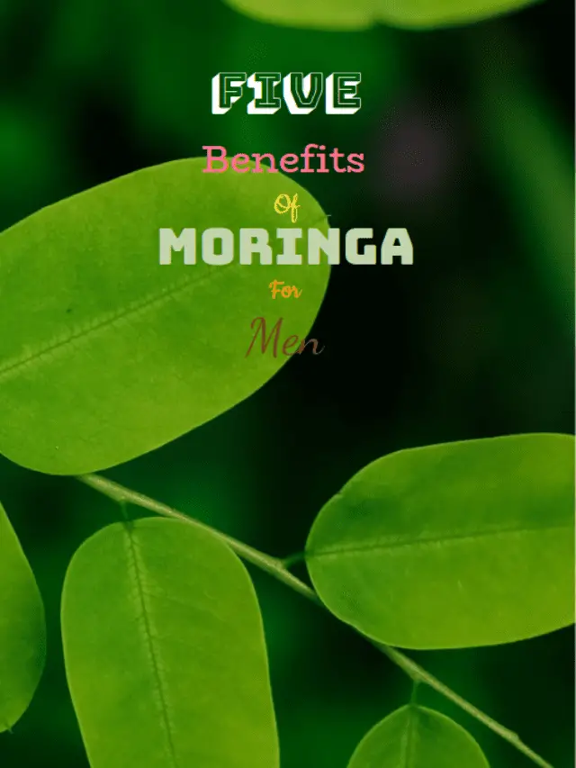Five benefits of Moringa for men